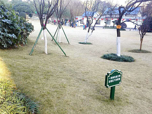 流芳園除雜4 流芳園除雜4