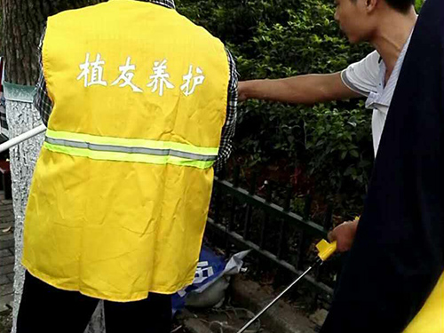 醴陵市城區(qū)樹(shù)桿刷白4